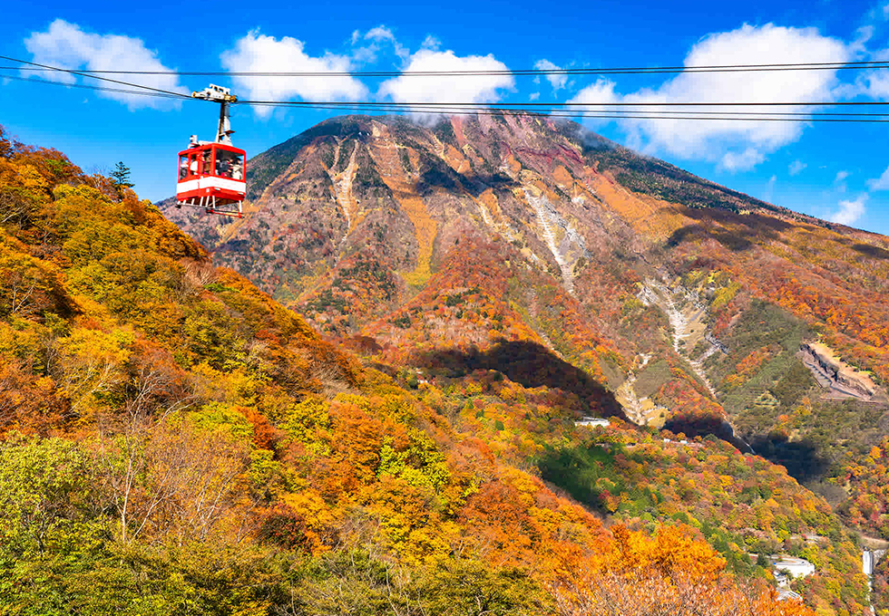 Tour du lịch Nhật Bản thiên đường mùa thu NIKKO - TOKYO - NÚI PHÚ SỸ - LÀNG CỔ OSHINO HAKKAI - NARITA 5N4Đ - Hình ảnh 5
