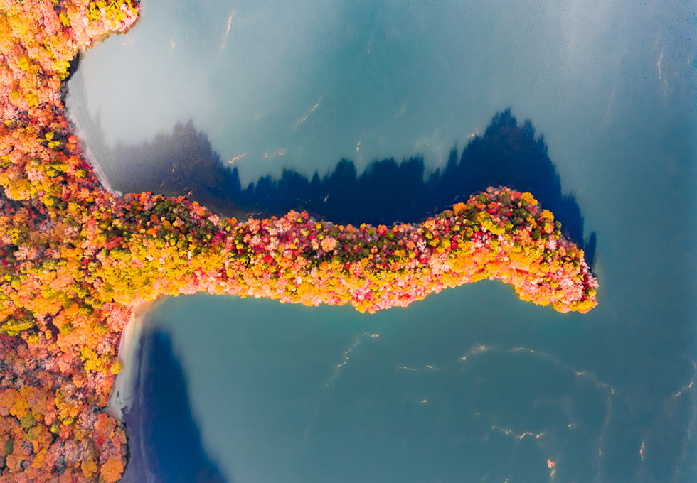 Tour du lịch Nhật Bản thiên đường mùa thu NIKKO - TOKYO - NÚI PHÚ SỸ - LÀNG CỔ OSHINO HAKKAI - NARITA 5N4Đ - Hình ảnh 4