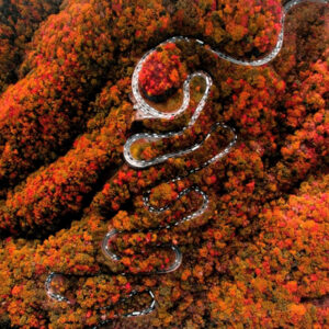 Tour du lịch Nhật Bản thiên đường mùa thu NIKKO - TOKYO - NÚI PHÚ SỸ - LÀNG CỔ OSHINO HAKKAI - NARITA 5N4Đ