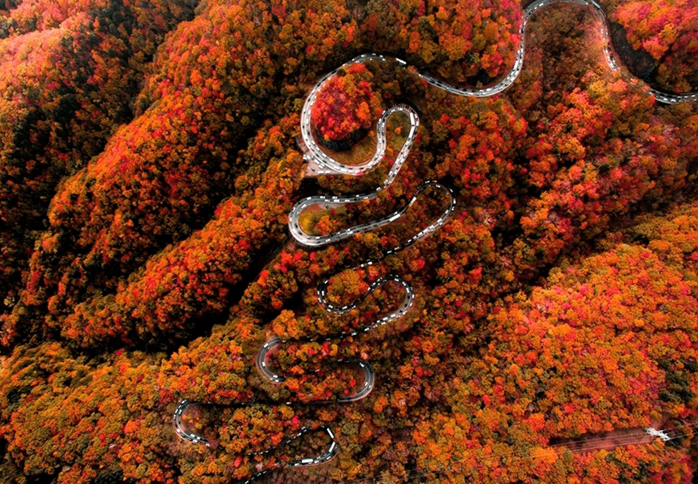 Tour du lịch Nhật Bản thiên đường mùa thu NIKKO - TOKYO - NÚI PHÚ SỸ - LÀNG CỔ OSHINO HAKKAI - NARITA 5N4Đ